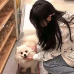 咸鱼游戏王者乾坤下载